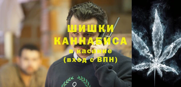 стафф Богданович