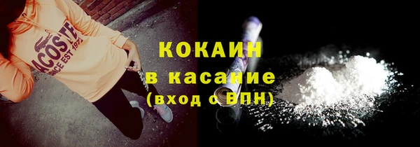 стафф Богданович