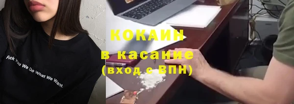 стафф Богданович