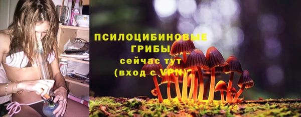 MESCALINE Бородино