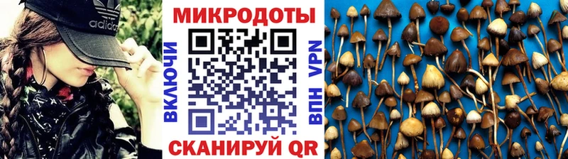 kraken зеркало  Кострома  Галлюциногенные грибы ЛСД 