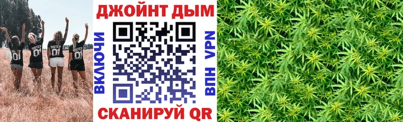 Бошки марихуана планчик  сколько стоит  Кострома 
